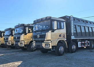  SHACMAN SX331863366