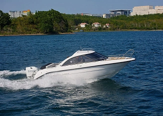 Феникс 600 HT