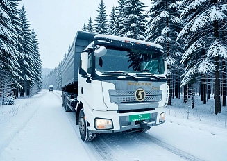 Shacman  SX33186T366C