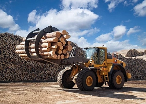 Лесозаготовительная