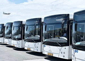 Городские автобусы