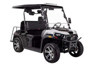 AODES UTV 300-10 GOLF