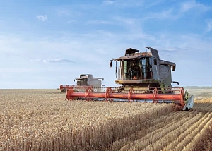 Сельскохозяйственная